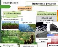 Доклад охрана и рациональное использование растительных и животных ресурсов Охрана и рациональное использование растений презентация